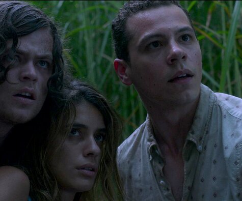 Im hohen Gras | © Netflix