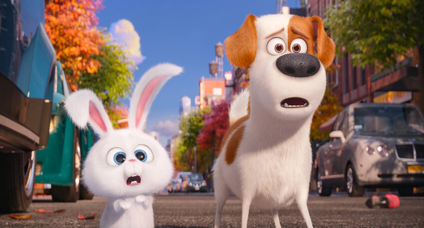 © Universal Pictures Pets_2016_Universal_01 | © Universal Pictures