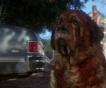 Cujo | © Warner Bros
