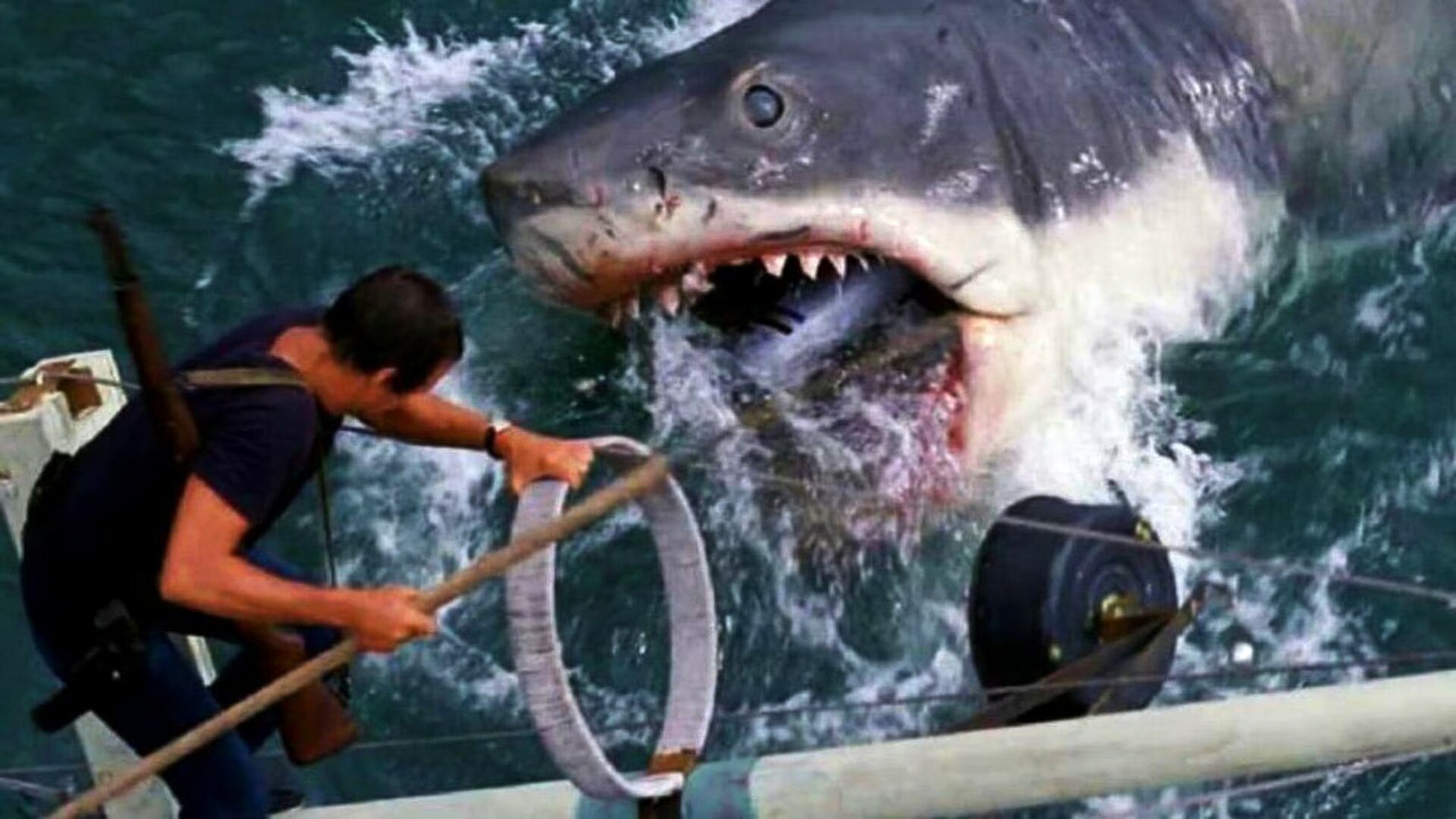 Der weiße Hai | © Universal Pictures