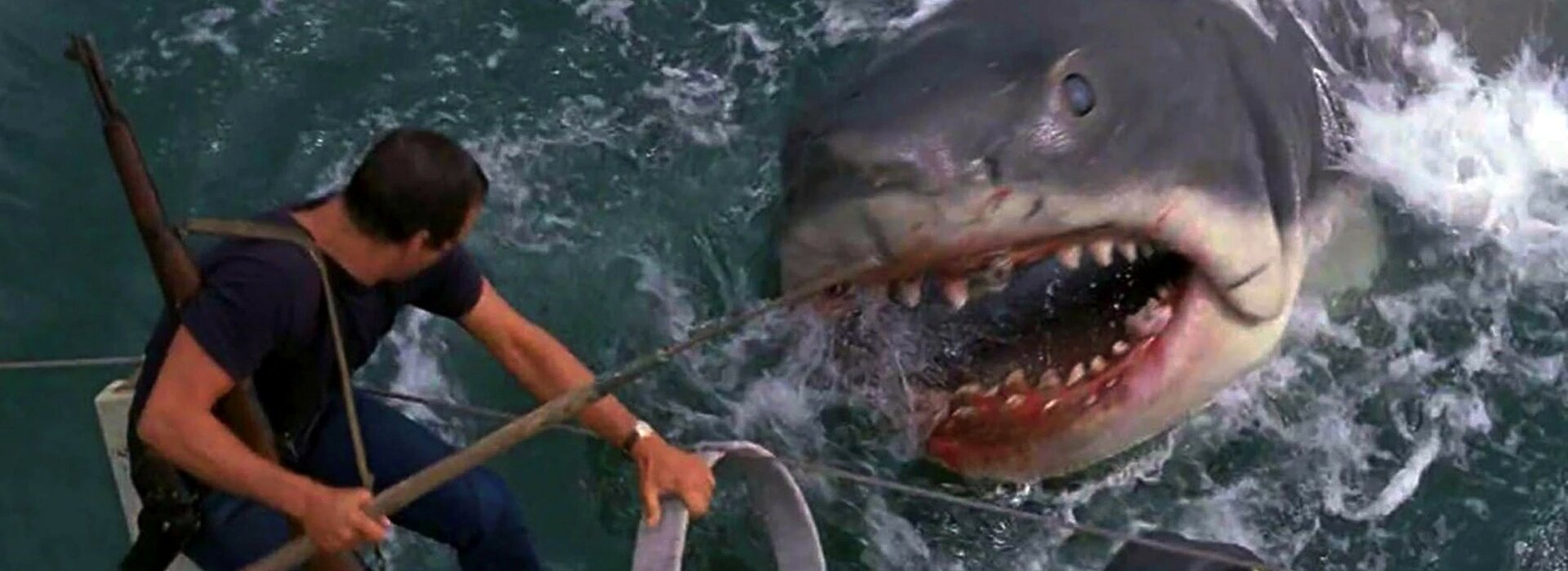 Shark Movies: Die 10 besten Hai-Schocker | © Universal Pictures