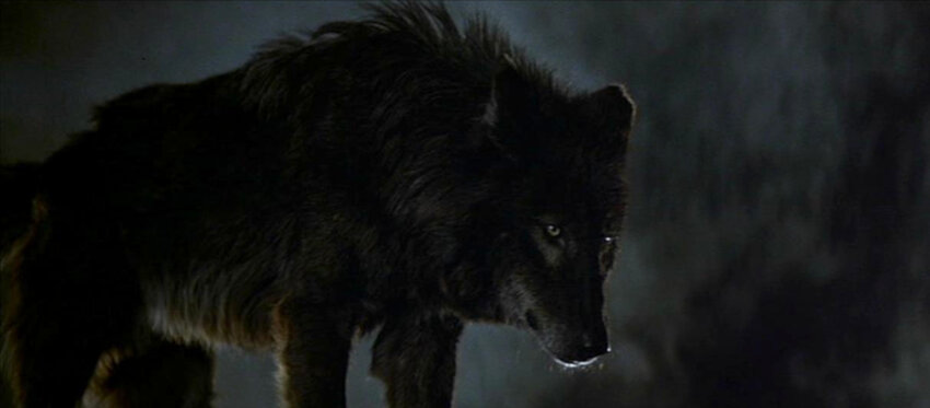 Wolfen_1981_Warner_01 | © Warner Bros